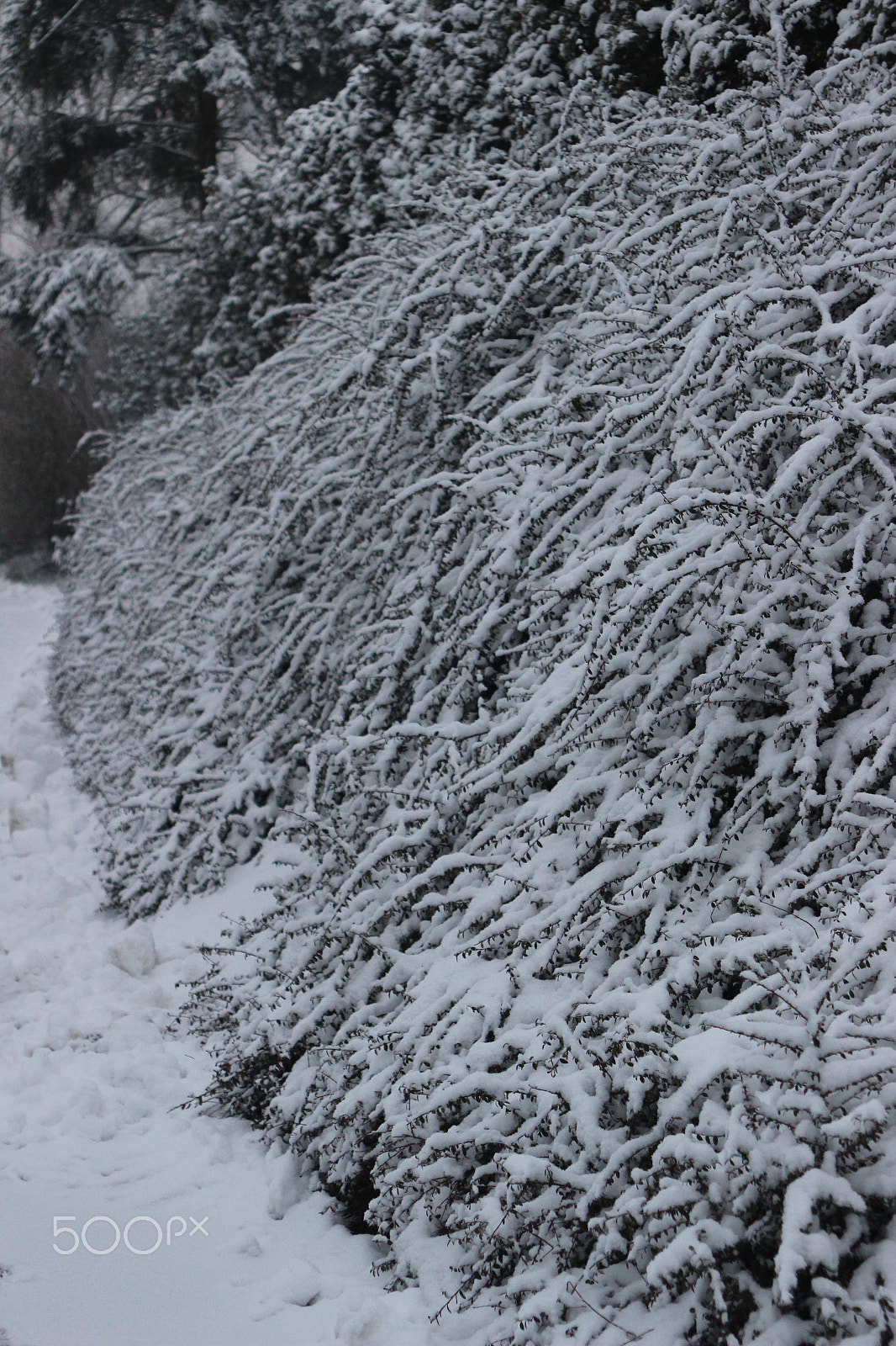 Canon EF 28-105mm f/3.5-4.5 USM sample photo. Snowy landscape - germany 02 photography