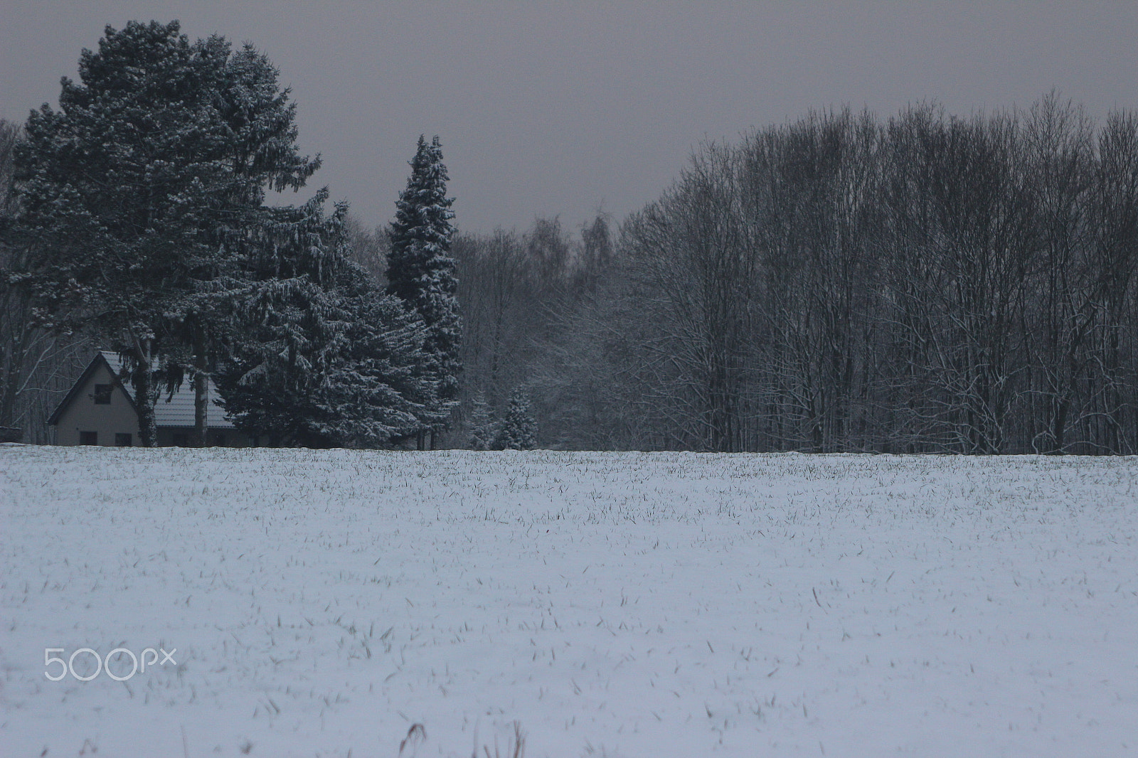 Canon EF 28-105mm f/3.5-4.5 USM sample photo. Snowy landscape - germany 03 photography