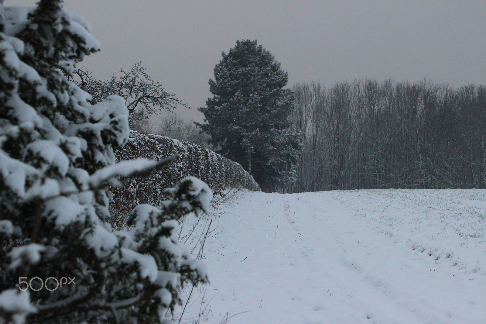 Canon EF 28-105mm f/3.5-4.5 USM sample photo. Snowy landscape - germany 04 photography