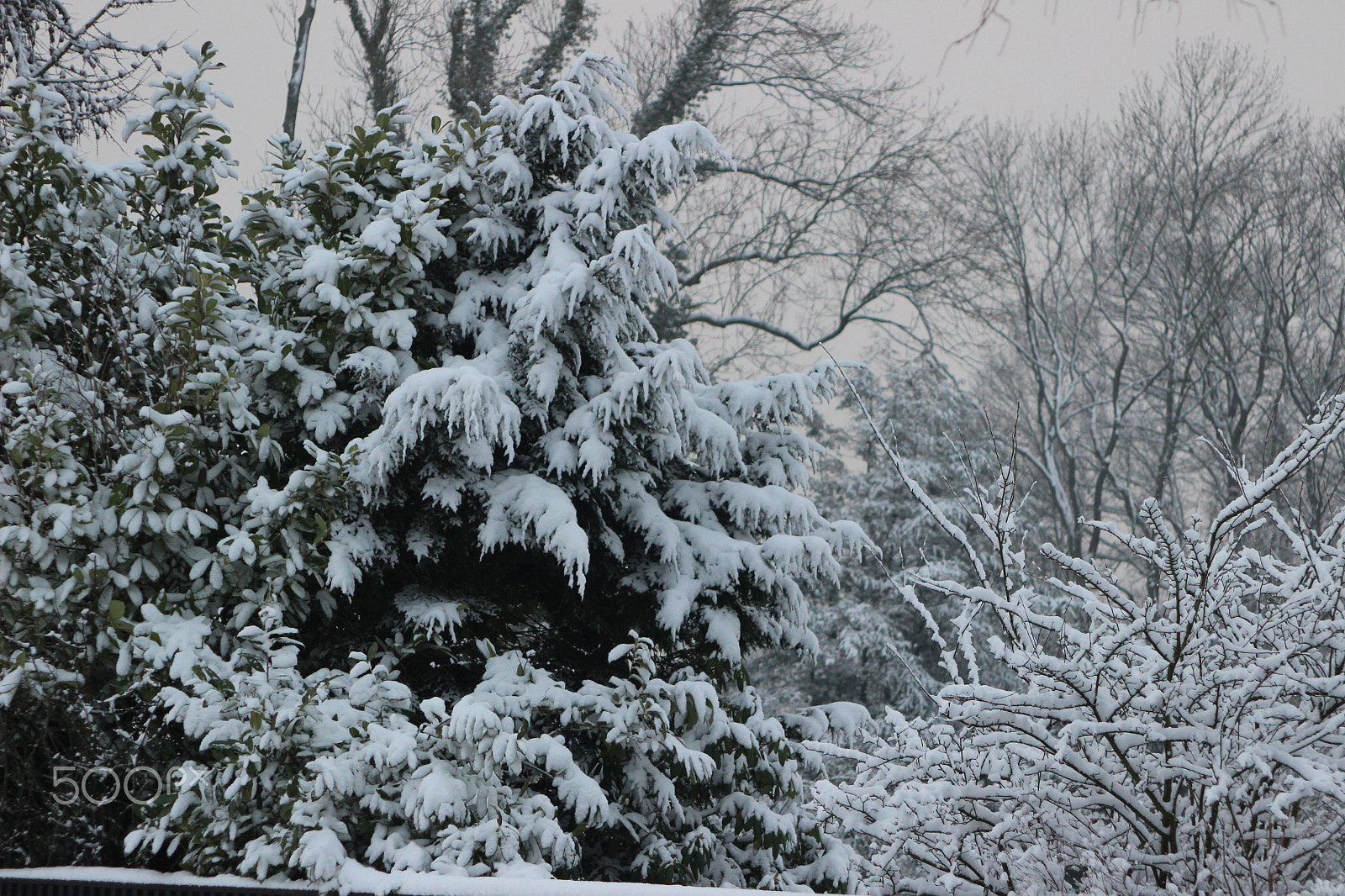 Canon EF 28-105mm f/3.5-4.5 USM sample photo. Snowy landscape - germany 05 photography
