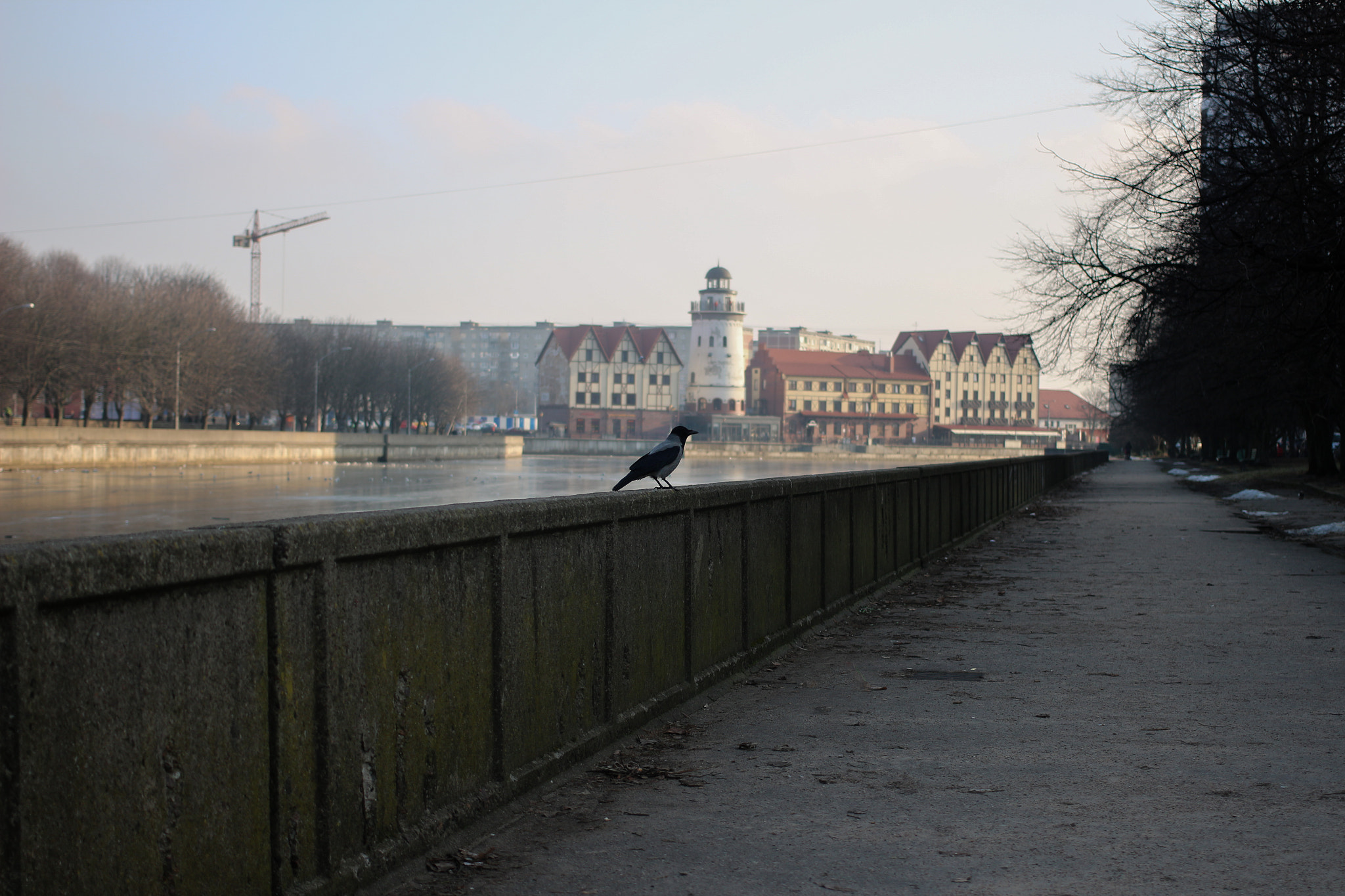 Canon EOS 650D (EOS Rebel T4i / EOS Kiss X6i) + Canon EF 40mm F2.8 STM sample photo. Kalilingrad photography