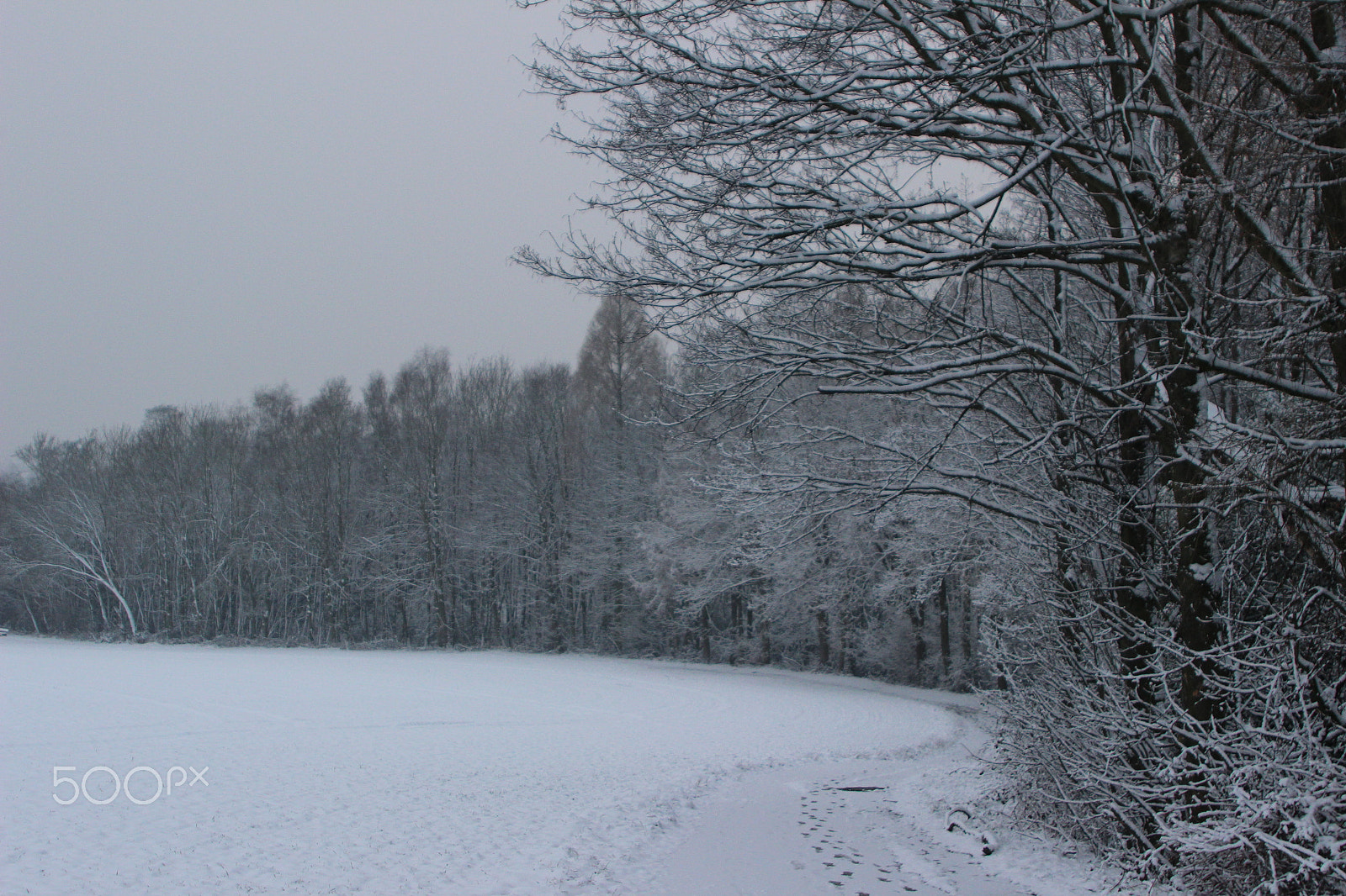 Canon EF 28-105mm f/3.5-4.5 USM sample photo. Snowy landscape - germany 06 photography