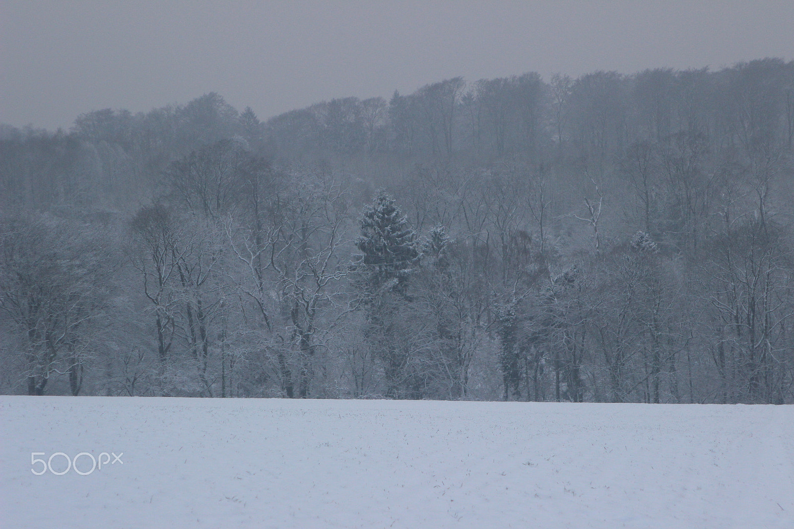 Canon EF 28-105mm f/3.5-4.5 USM sample photo. Snowy landscape - germany 08 photography