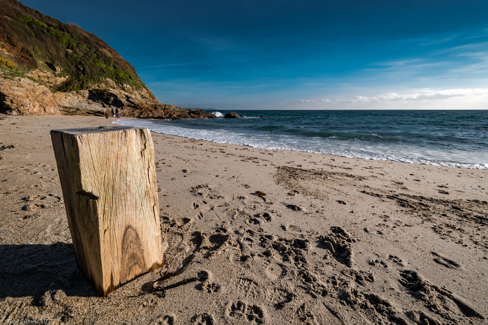 Nikon D5500 sample photo. Post photography