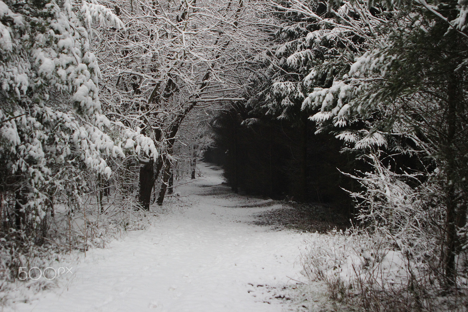 Canon EF 28-105mm f/3.5-4.5 USM sample photo. Snowy landscape - germany 10 photography