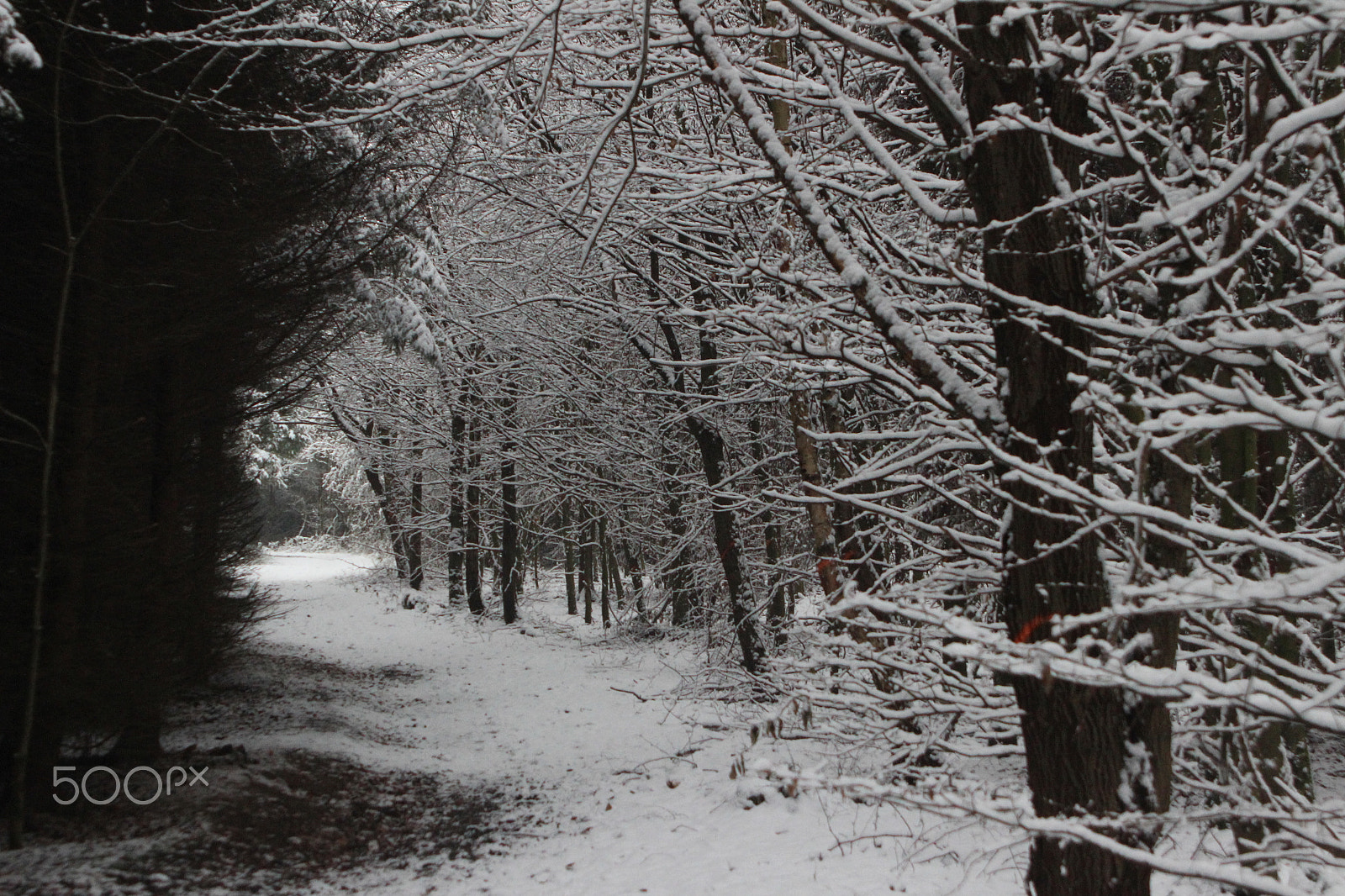 Canon EF 28-105mm f/3.5-4.5 USM sample photo. Snowy landscape - germany 11 photography