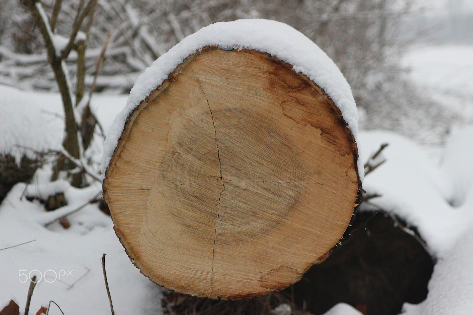 Canon EF 28-105mm f/3.5-4.5 USM sample photo. Snowy landscape - germany 12 photography