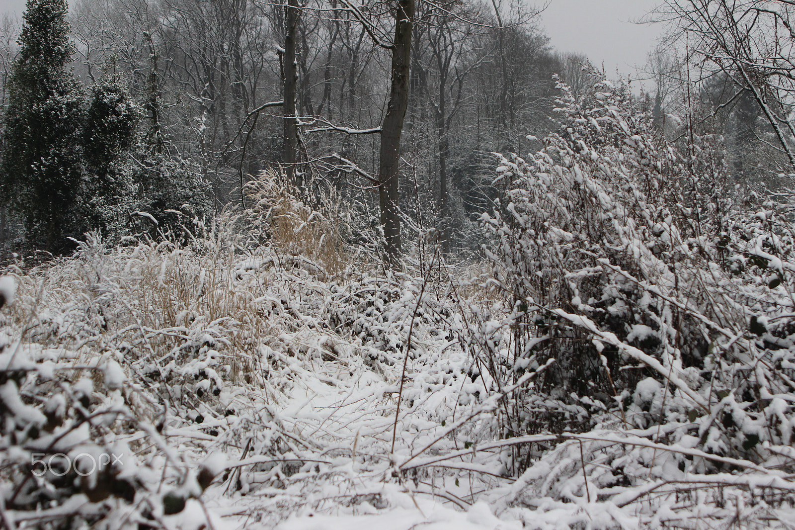 Canon EF 28-105mm f/3.5-4.5 USM sample photo. Snowy landscape - germany 13 photography