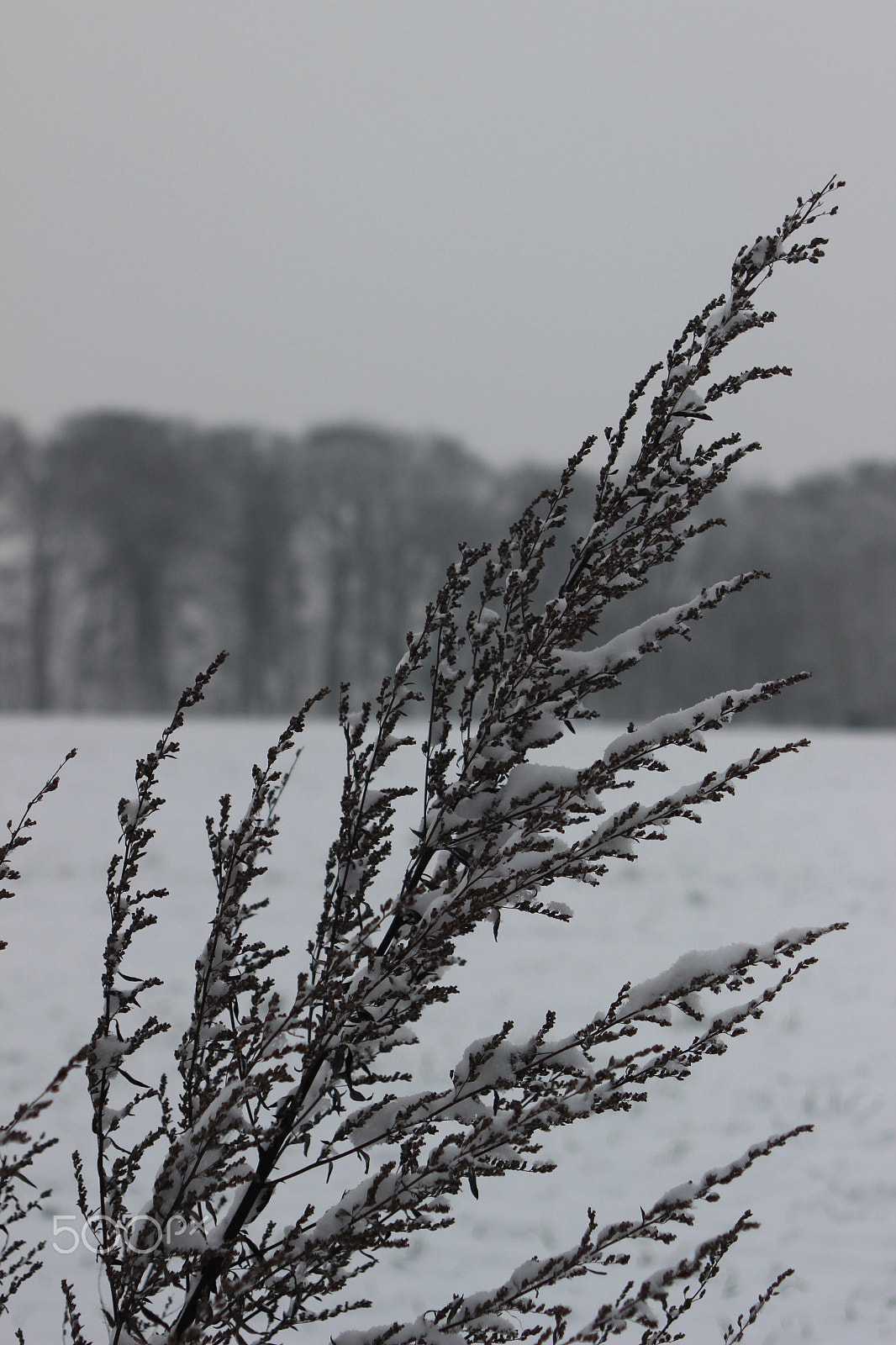 Canon EF 28-105mm f/3.5-4.5 USM sample photo. Snowy landscape - germany 14 photography
