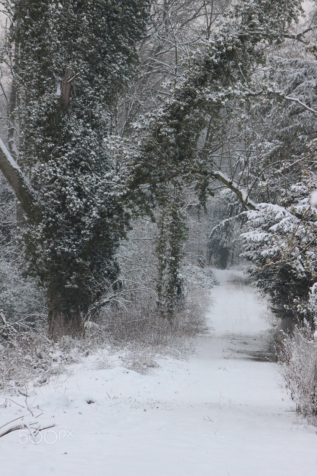 Canon EF 28-105mm f/3.5-4.5 USM sample photo. Snowy landscape - germany 15 photography