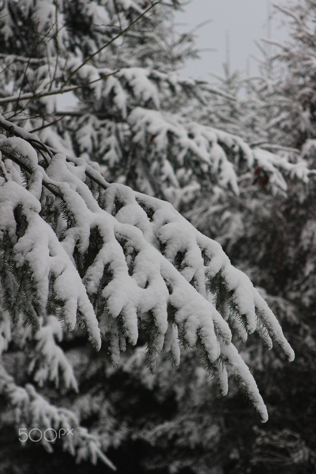 Canon EF 28-105mm f/3.5-4.5 USM sample photo. Snowy landscape - germany 17 photography