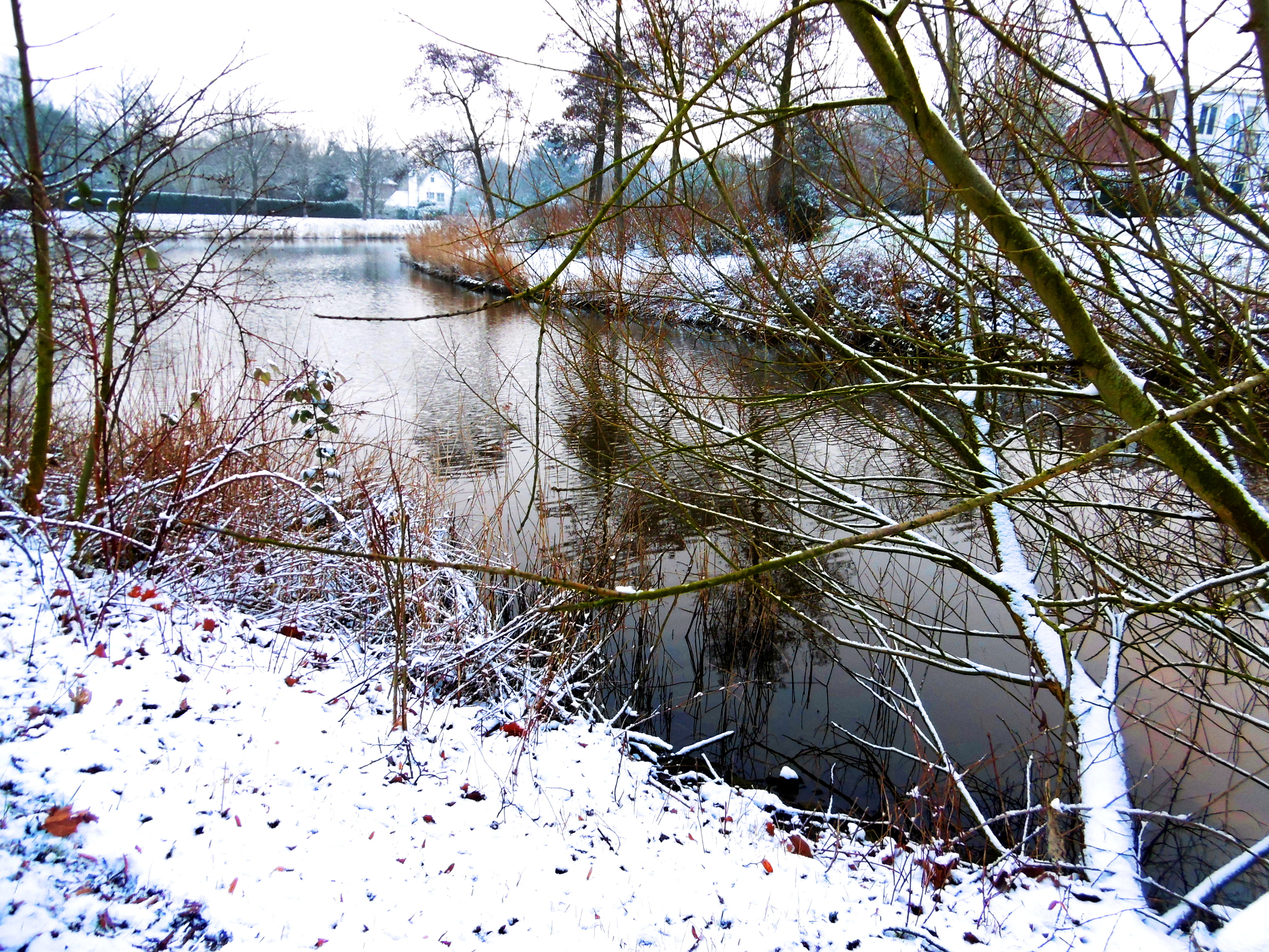 Panasonic DMC-SZ10 sample photo. Snow in the netherlands photography