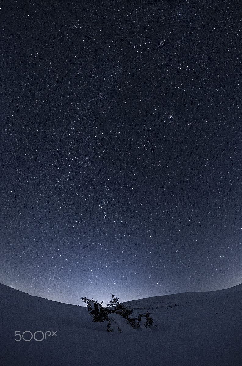 Canon EOS 5D Mark II + Canon EF 15mm F2.8 Fisheye sample photo. Cold night photography