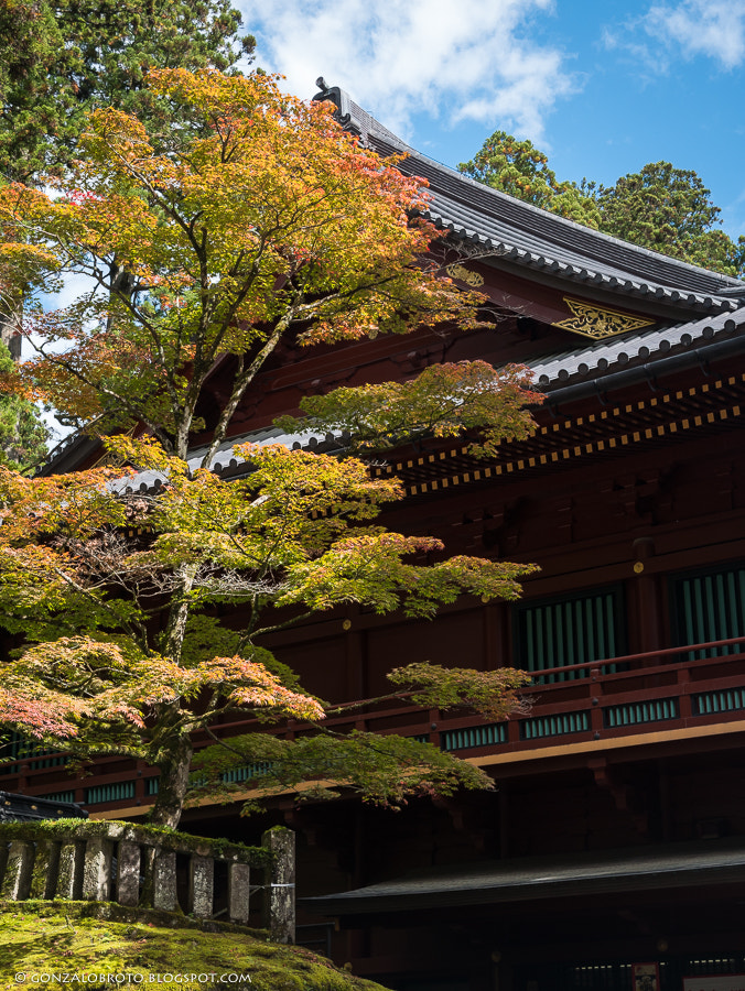 Panasonic Lumix DMC-GX85 (Lumix DMC-GX80 / Lumix DMC-GX7 Mark II) sample photo. Autumn in nikko photography