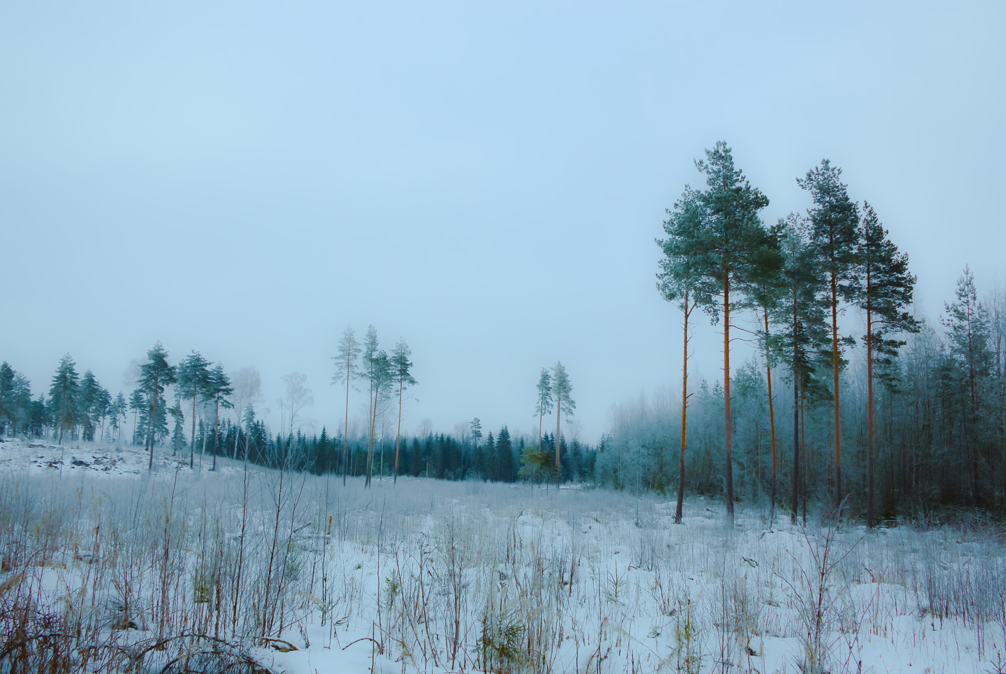 Nikon D3200 sample photo. Winter morning photography