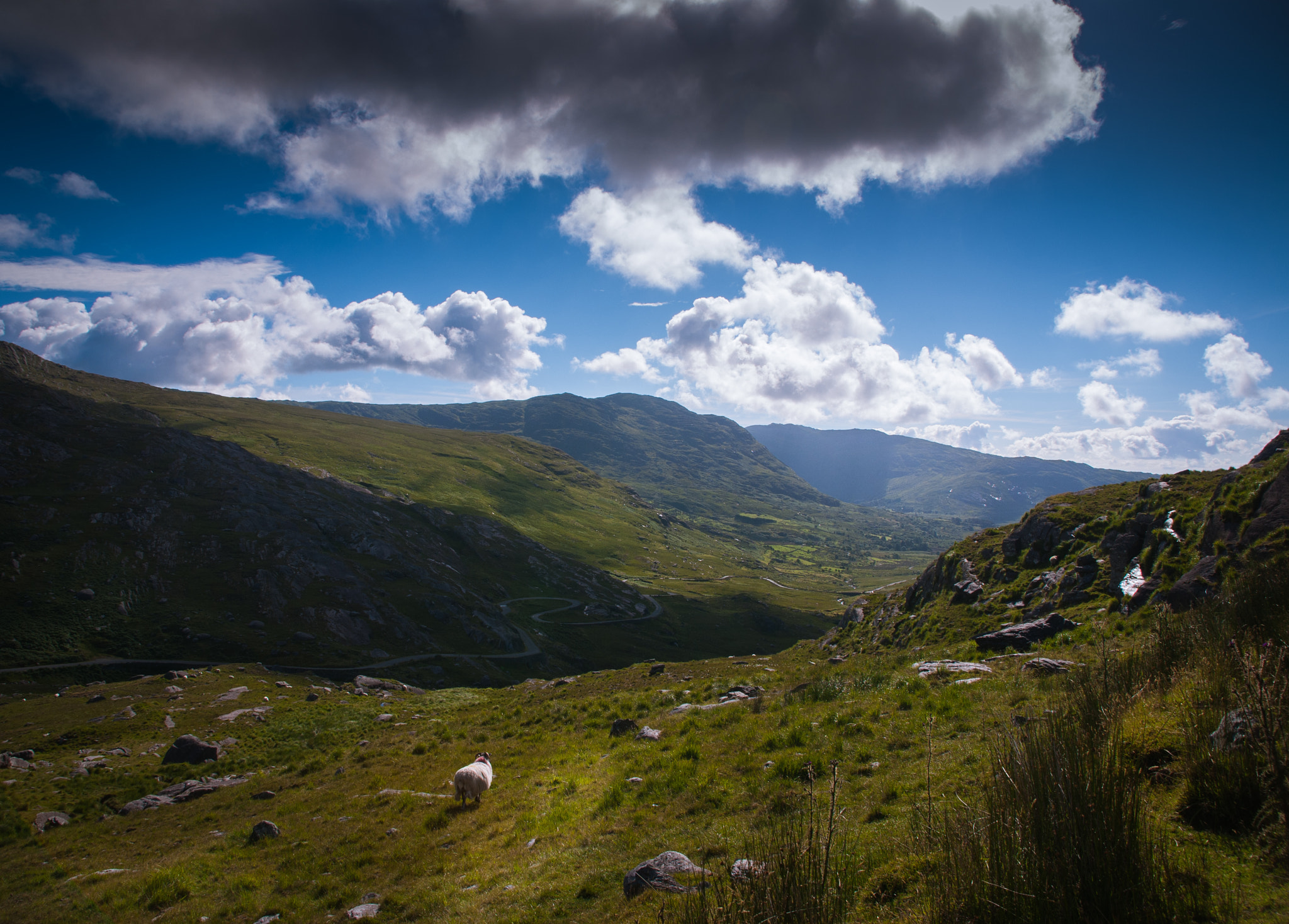 Nikon D60 + Sigma 18-200mm F3.5-6.3 DC sample photo. Road photography