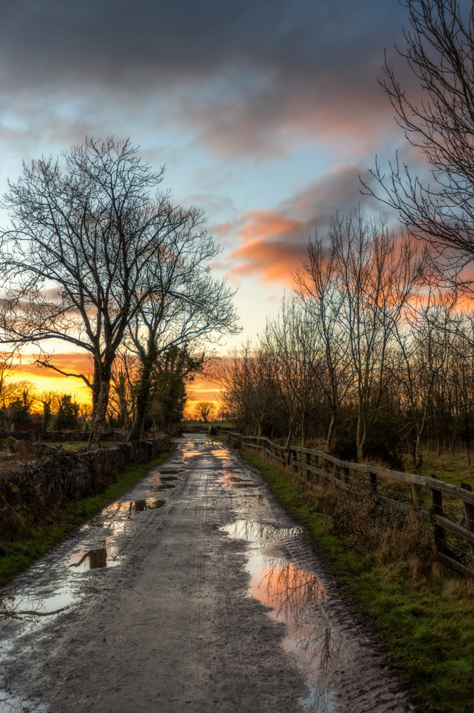 Nikon D750 + Nikon AF-S Nikkor 17-35mm F2.8D ED-IF sample photo. Sunset on an irish farm photography