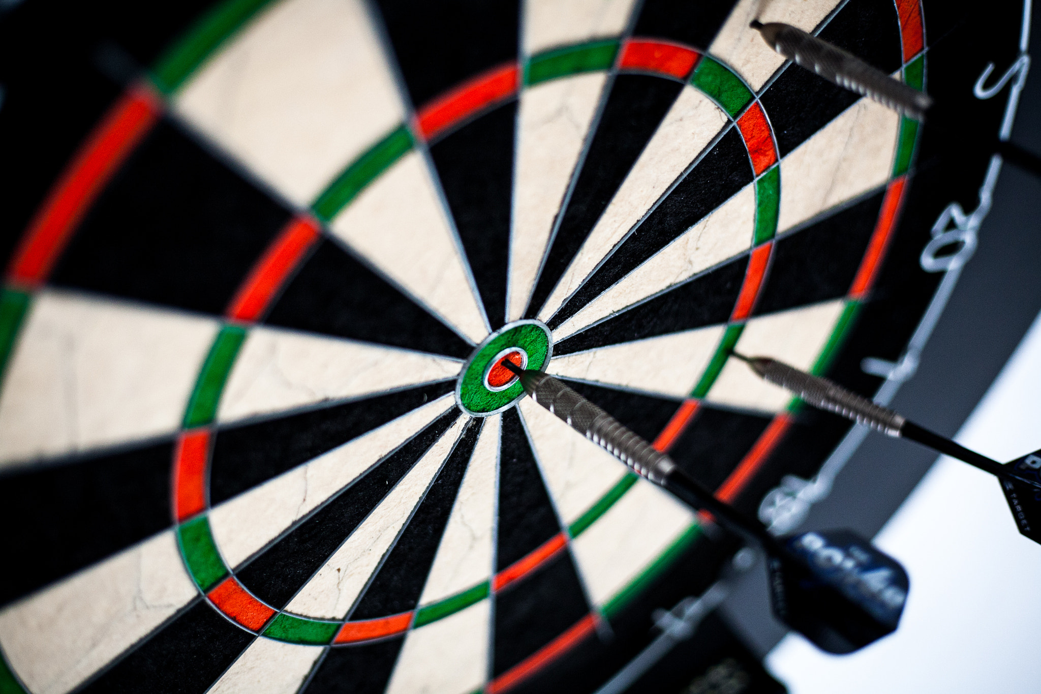 Canon EOS 5D + Canon EF 50mm F1.8 STM sample photo. Bulls eye photography