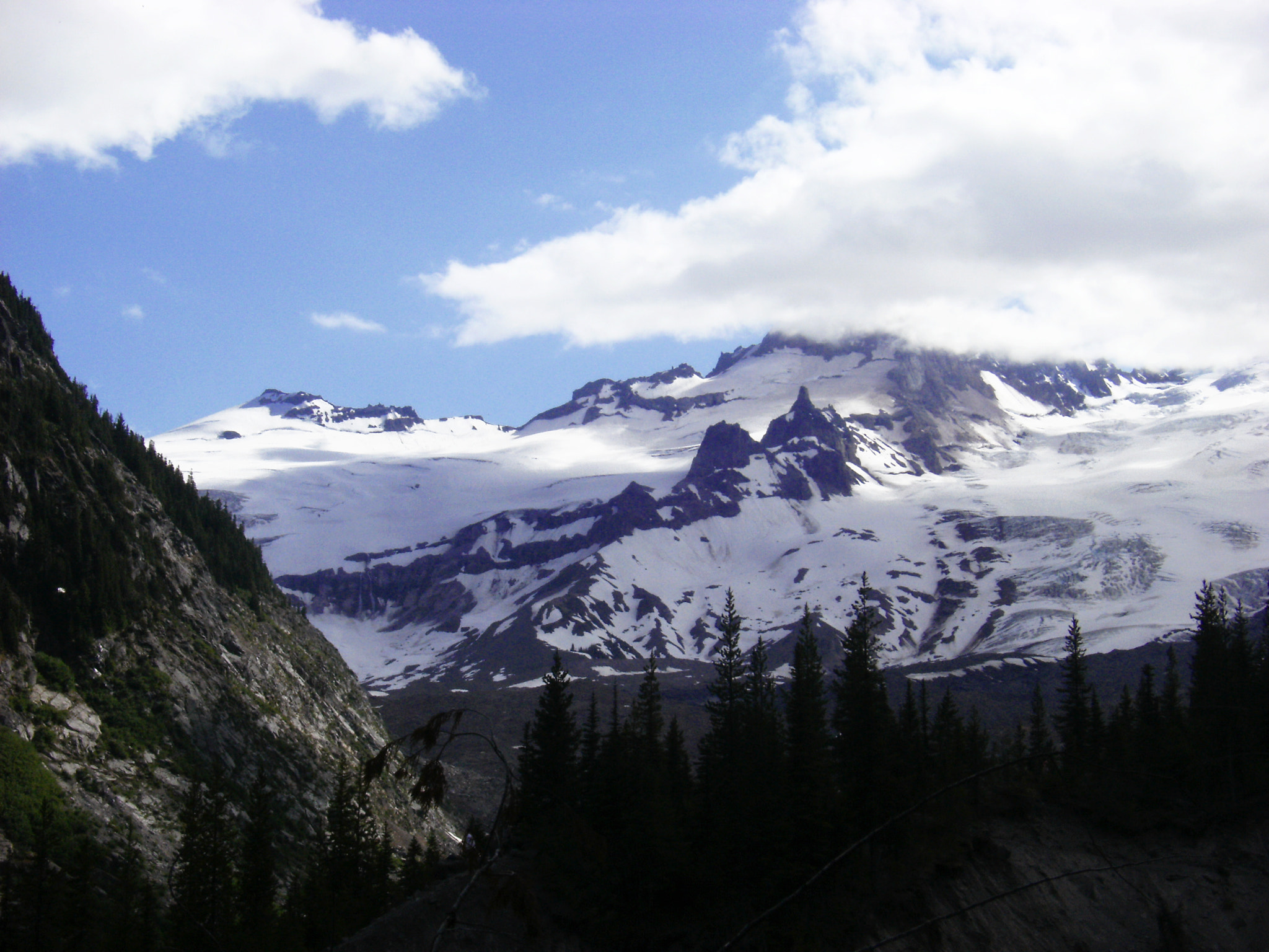 Fujifilm FinePix F480 sample photo. Mount rainier national park photography