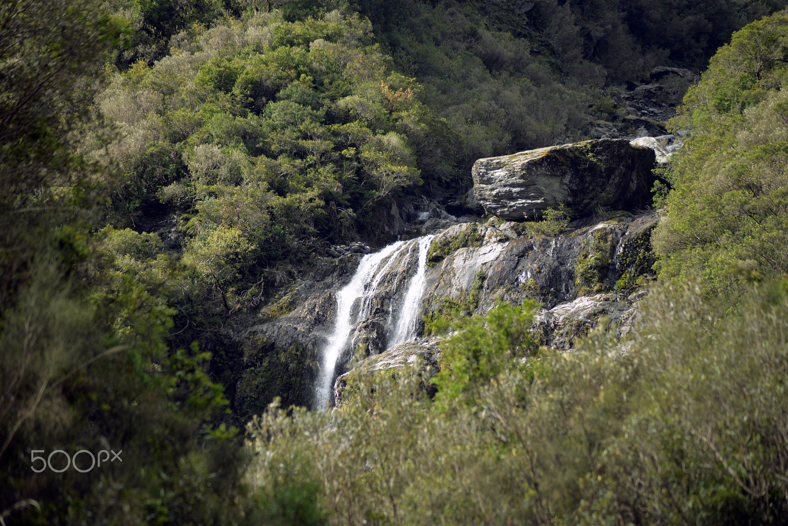 Nikon AF Nikkor 70-300mm F4-5.6G sample photo. Forest falls photography