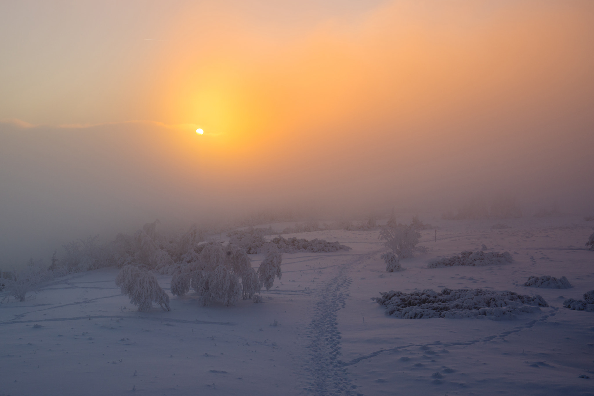 Canon EF 16-35mm F4L IS USM sample photo. Footsteps photography