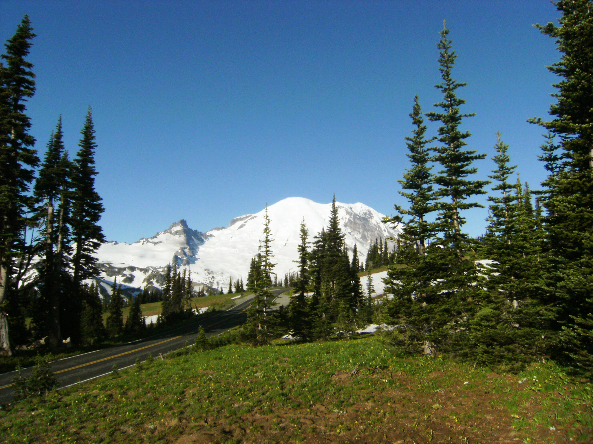 Fujifilm FinePix F480 sample photo. Mount rainier national park photography