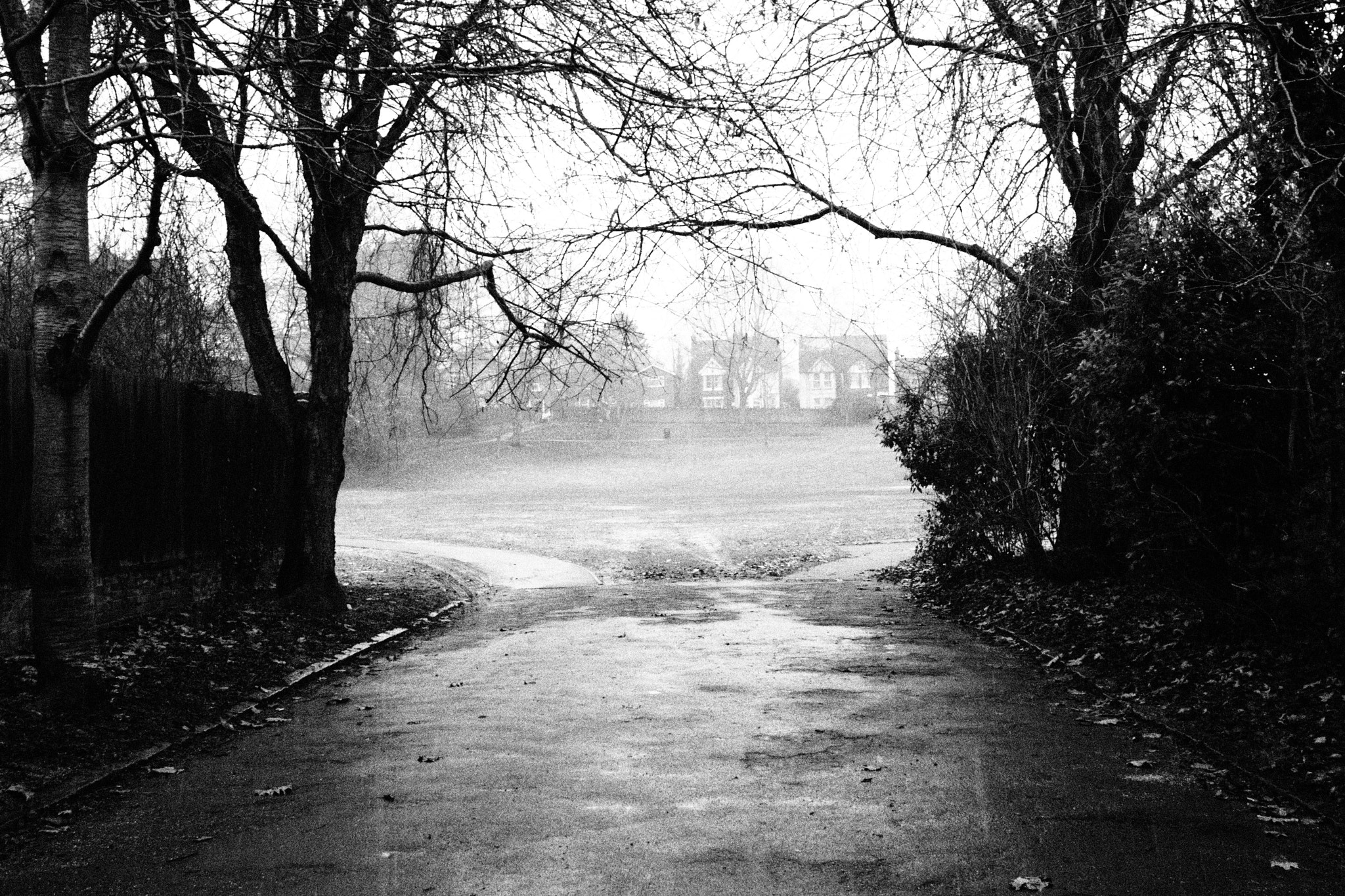 Olympus PEN E-PL2 sample photo. Park lane photography