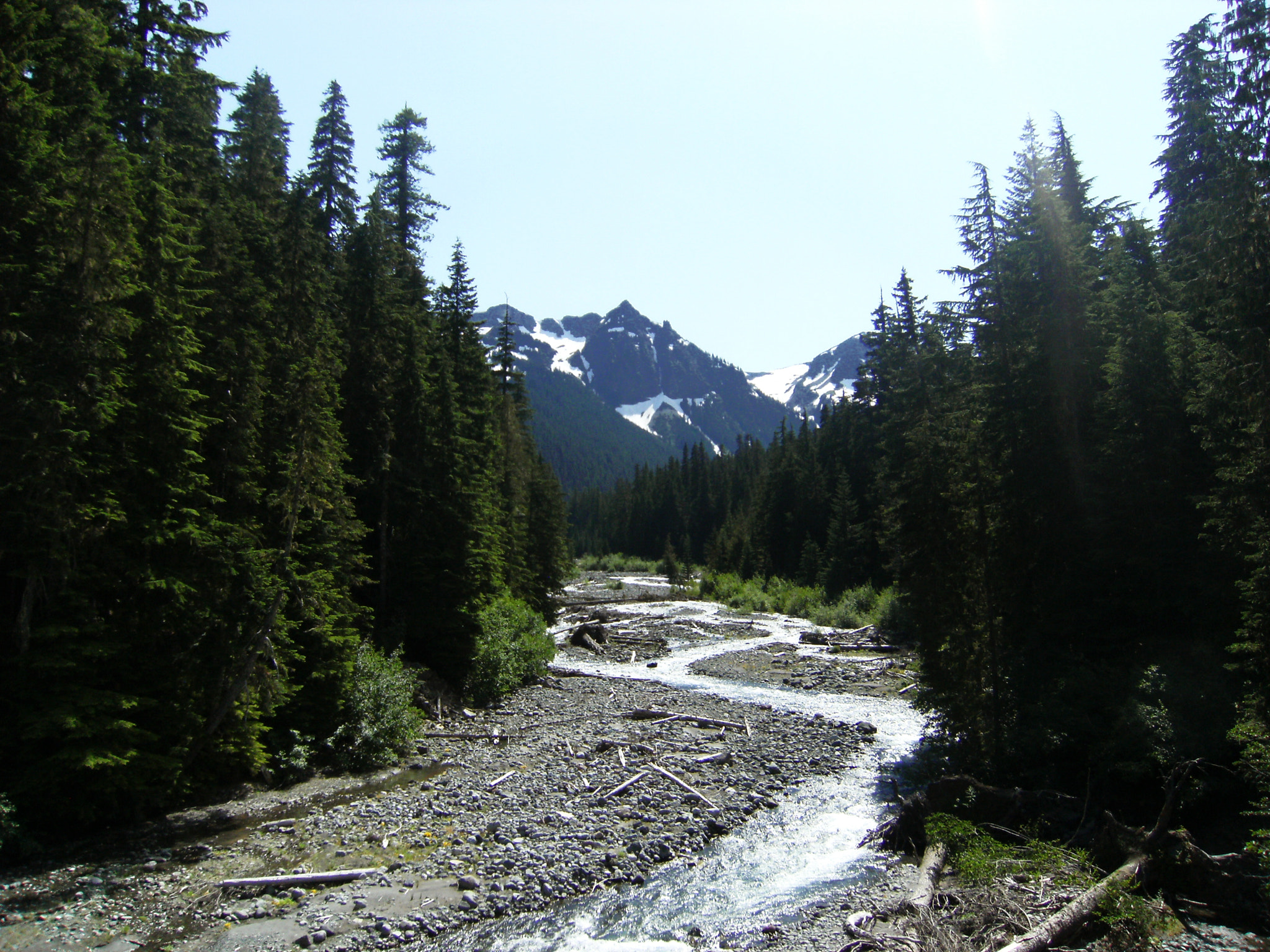 Fujifilm FinePix F480 sample photo. Mount rainier national park photography