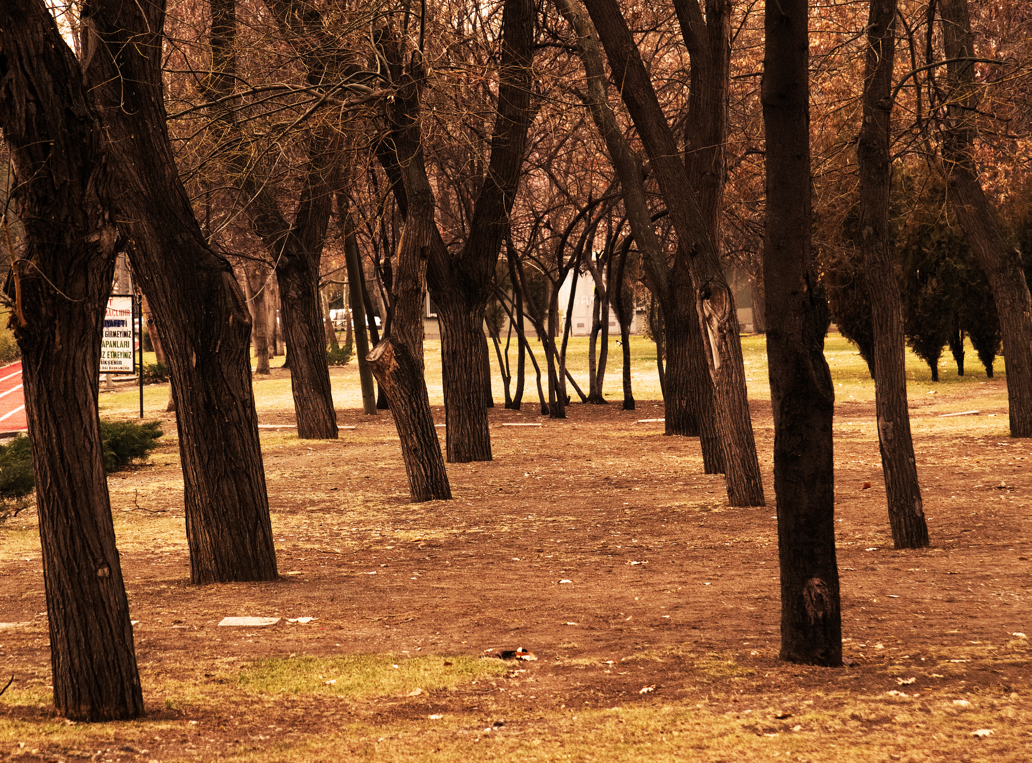 Sony DT 18-135mm F3.5-5.6 SAM sample photo. Autumnshot photography