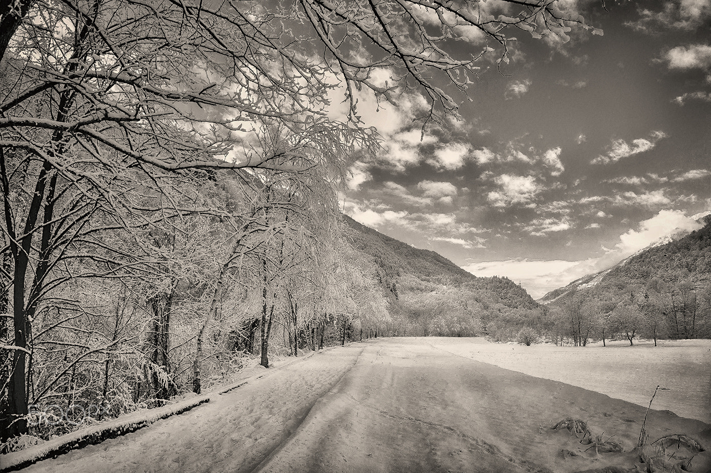 Sony Alpha NEX-6 sample photo. Black sky & white snow photography