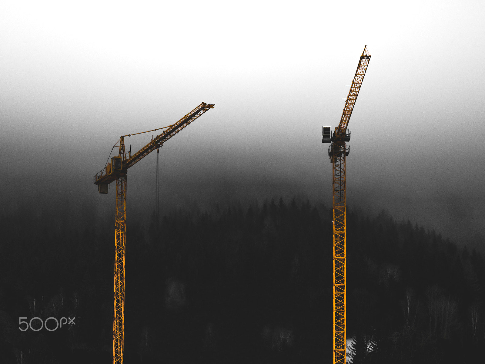 LUMIX G VARIO 12-60/F3.5-5.6 sample photo. Cranes photography