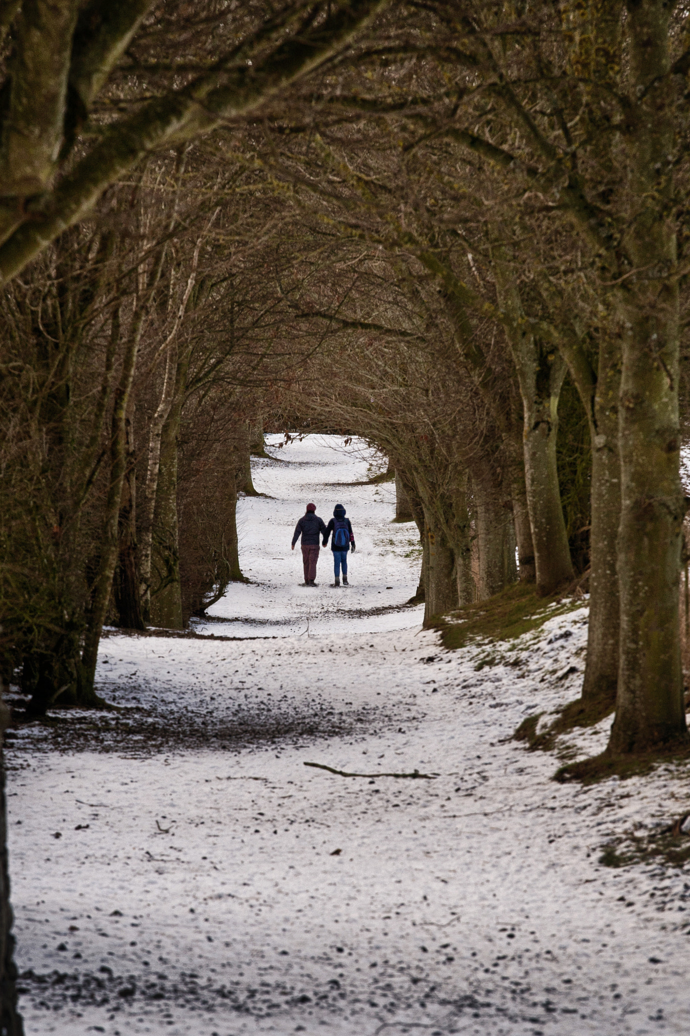 Canon EOS 5D + Canon EF 70-200mm F4L USM sample photo. The walk home photography