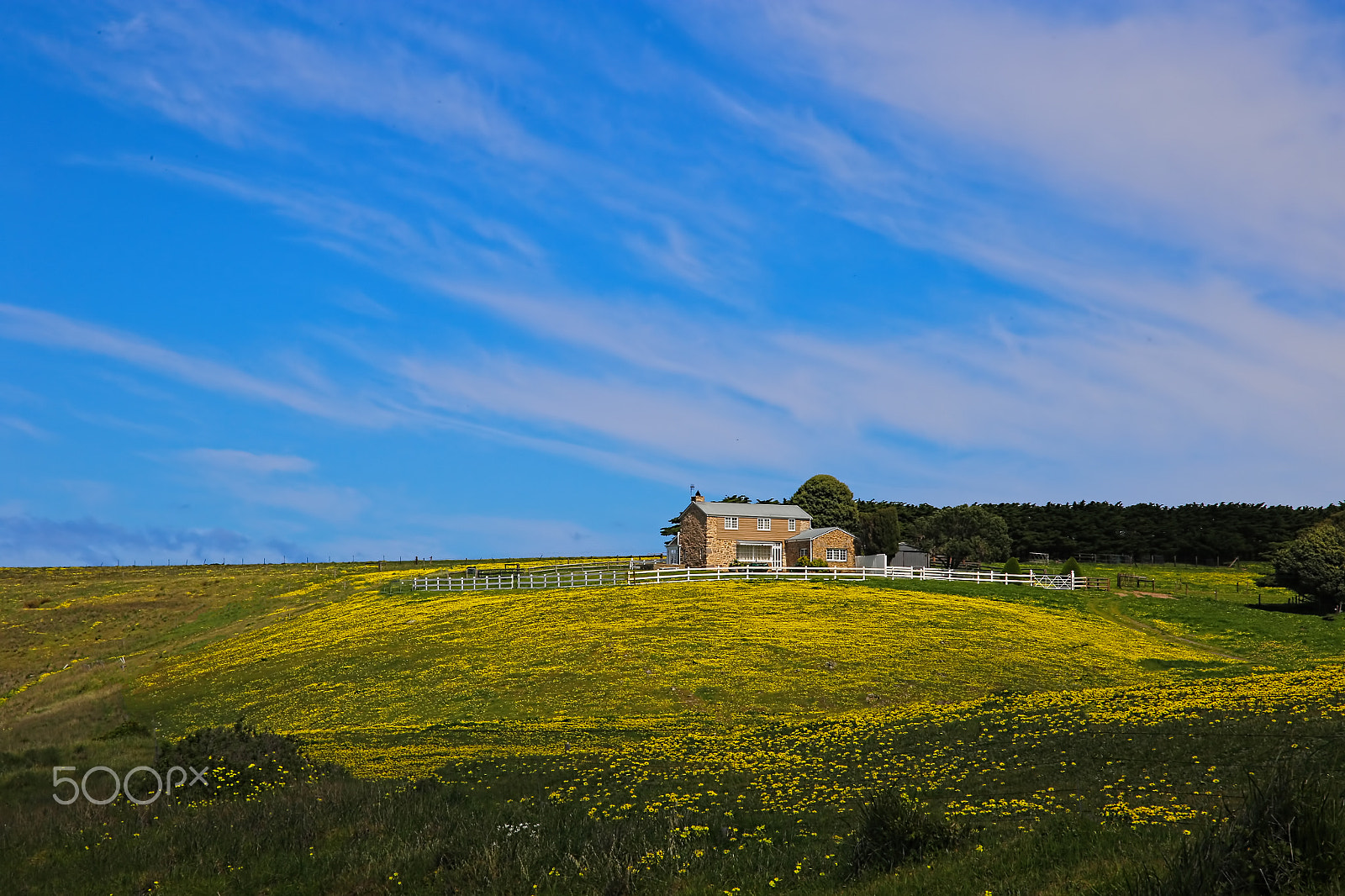 Canon EOS 6D + Sigma 24-105mm f/4 DG OS HSM | A sample photo. House on the hill photography