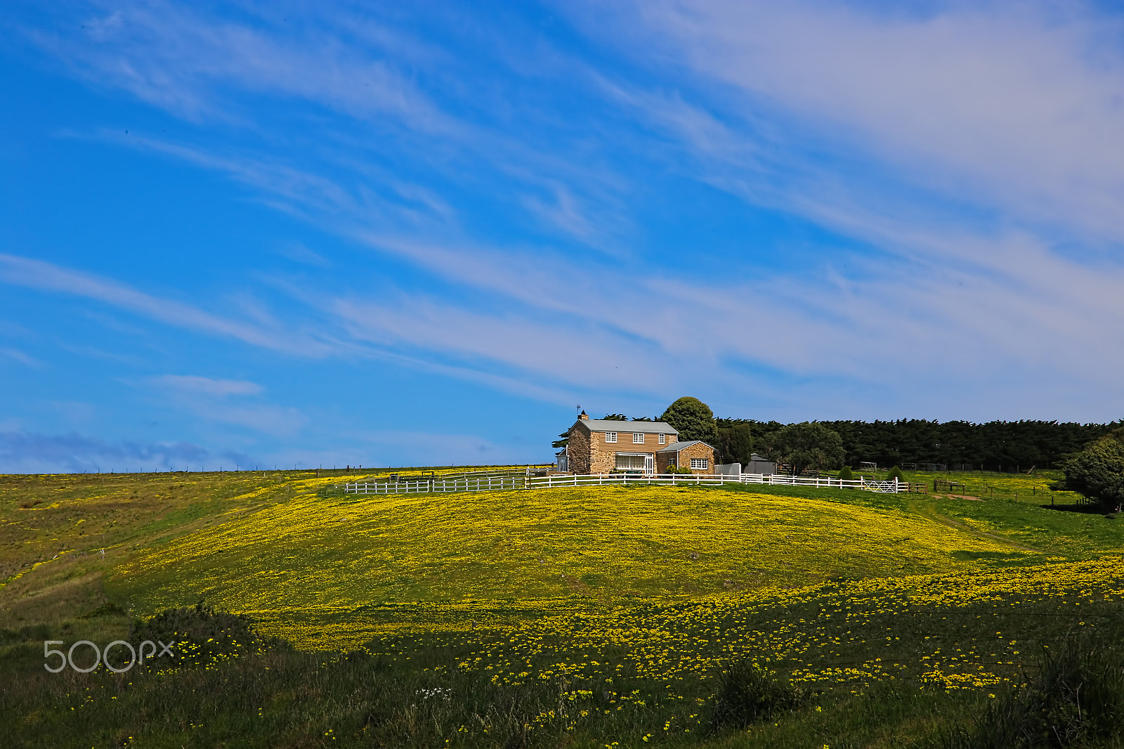 Sigma 24-105mm f/4 DG OS HSM | A sample photo. House on the hill photography