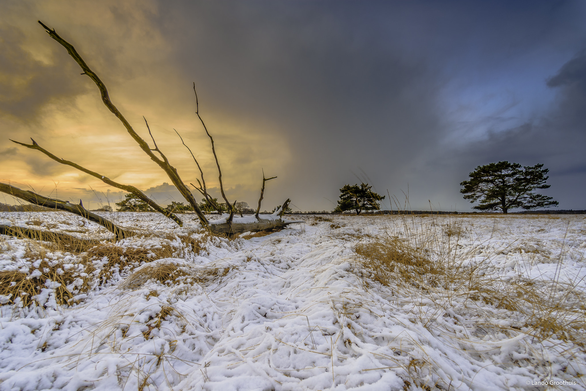 Samyang 14mm F2.8 ED AS IF UMC sample photo. Winter sunrise photography