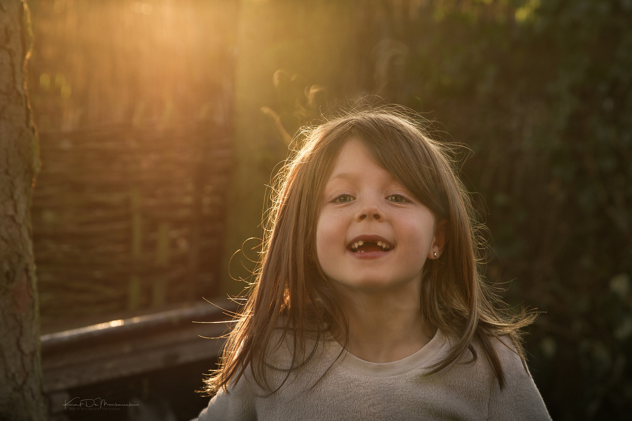 Canon EF 24-70mm F2.8L II USM sample photo. • morning glow • photography