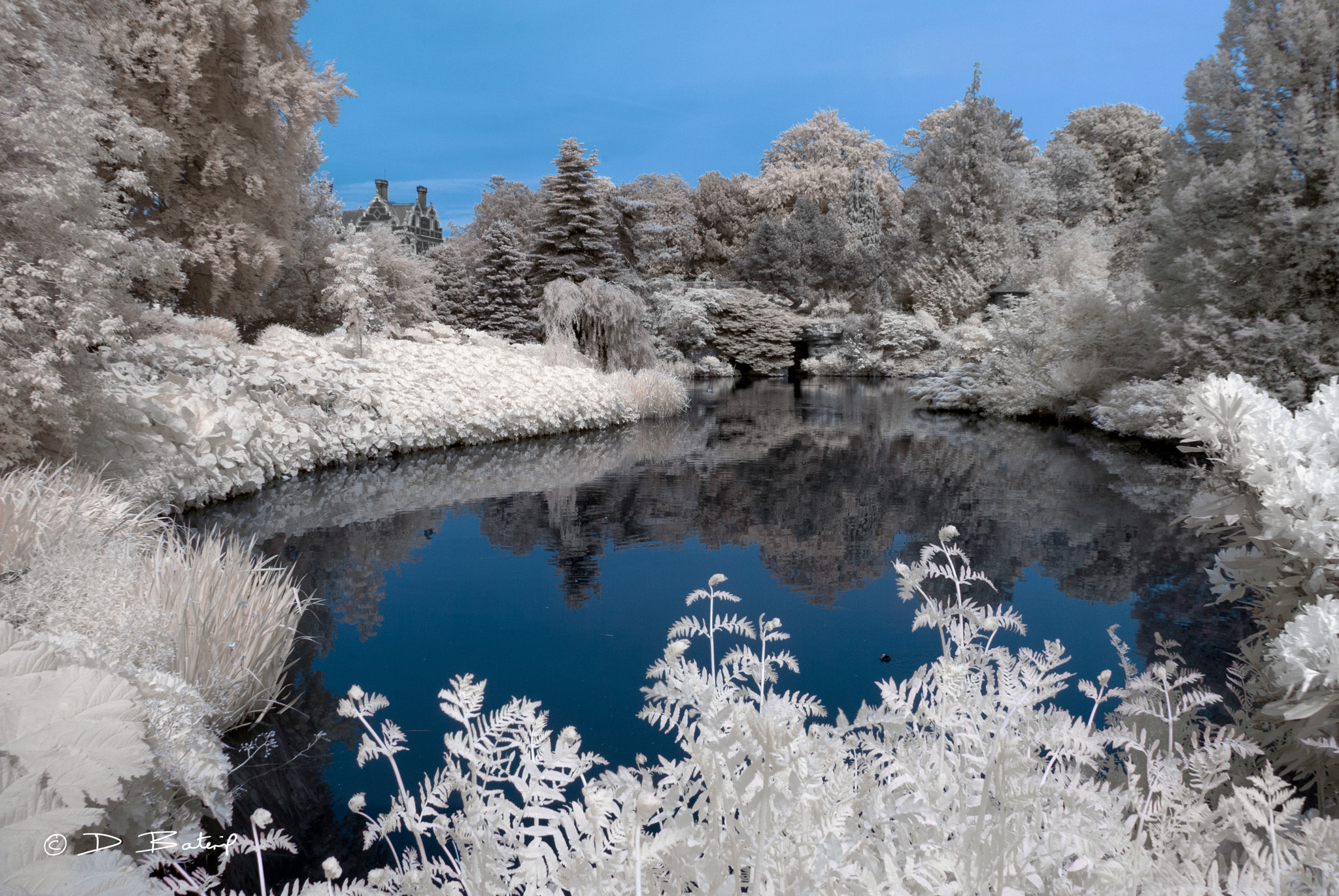 Nikon D80 sample photo. Sandringham in white photography