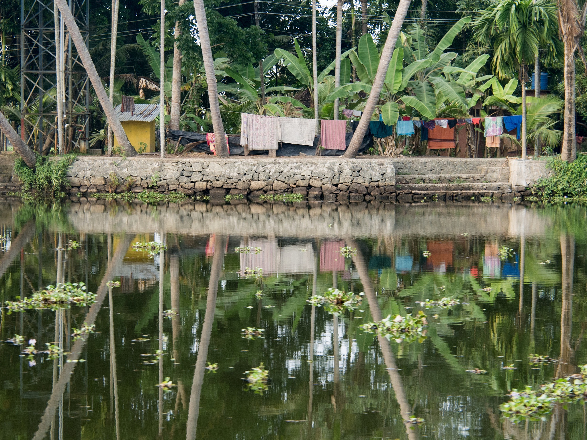 Olympus OM-D E-M5 sample photo. On the banks of the backwaters, kerala photography