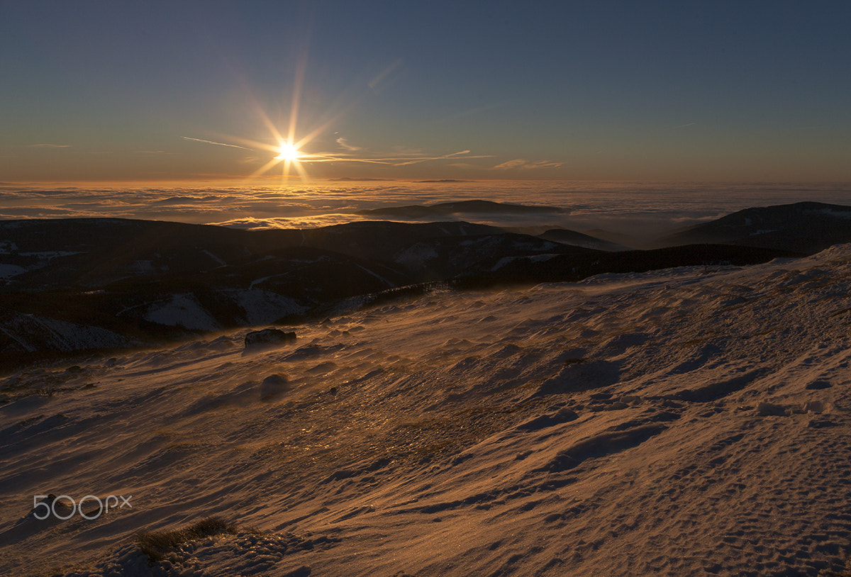 Canon EF 24mm F1.4L II USM sample photo. - photography