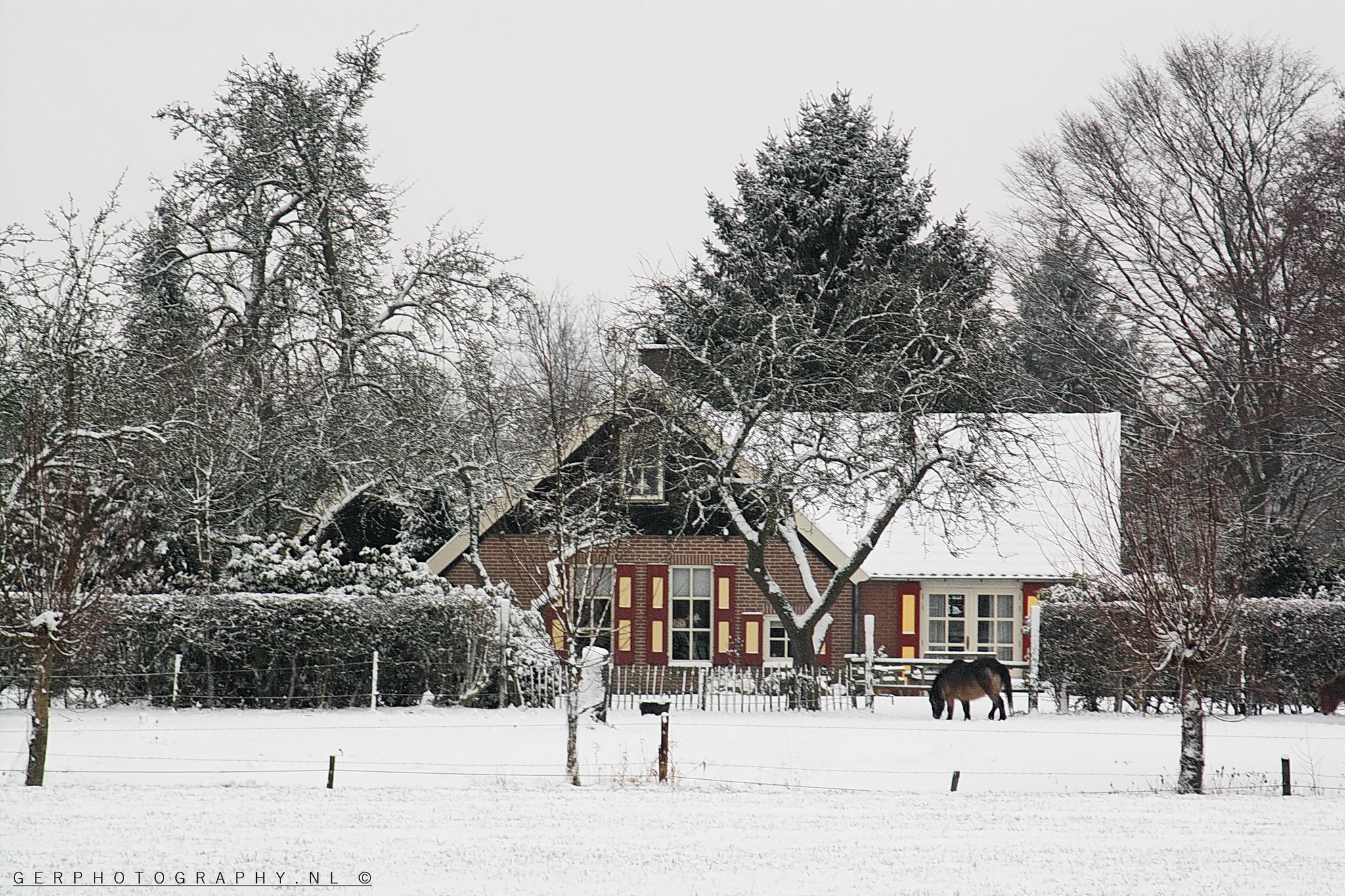 Canon EOS 1000D (EOS Digital Rebel XS / EOS Kiss F) sample photo. Winter in holland photography