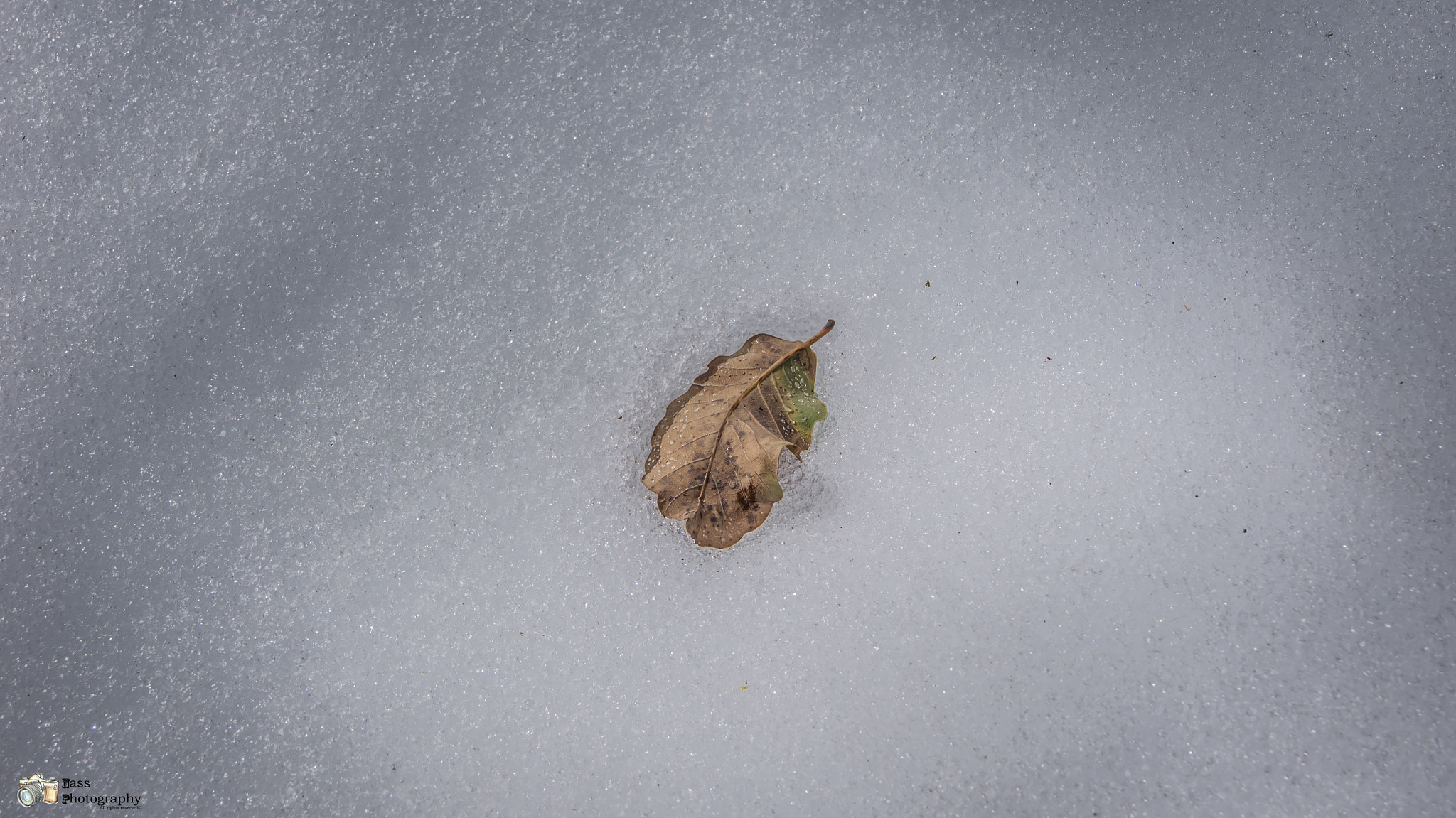 Sony SLT-A55 (SLT-A55V) sample photo