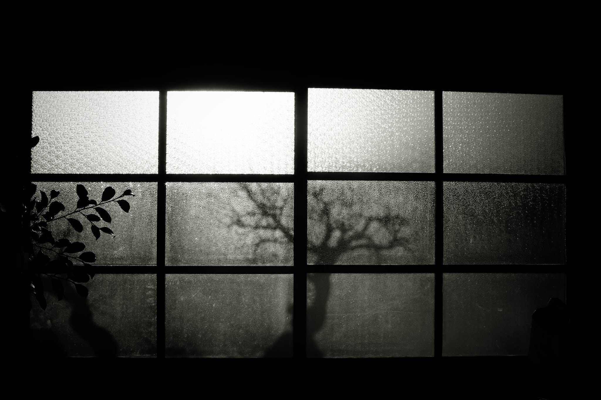 Canon EOS 600D (Rebel EOS T3i / EOS Kiss X5) sample photo. Projection photography