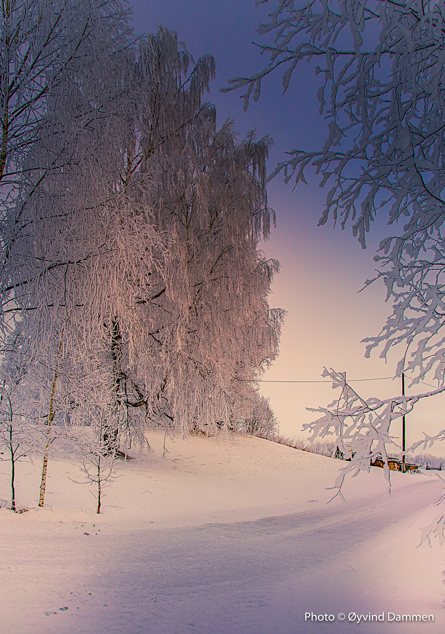 Canon EOS 450D (EOS Rebel XSi / EOS Kiss X2) sample photo. Winter in norway photography