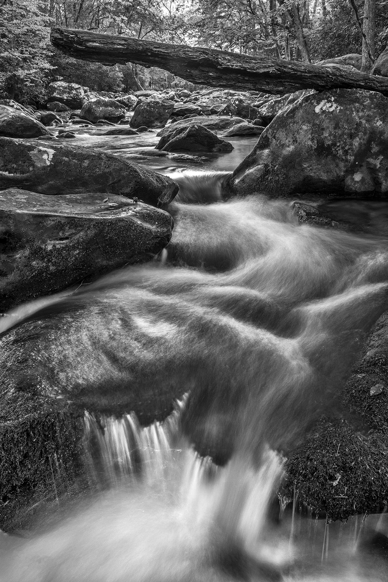 Nikon AF-S Nikkor 17-35mm F2.8D ED-IF sample photo. Rocks wood water photography