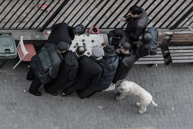 Olympus OM-D E-M5 II + Olympus M.Zuiko Digital ED 40-150mm F2.8 Pro sample photo. Onlookers photography