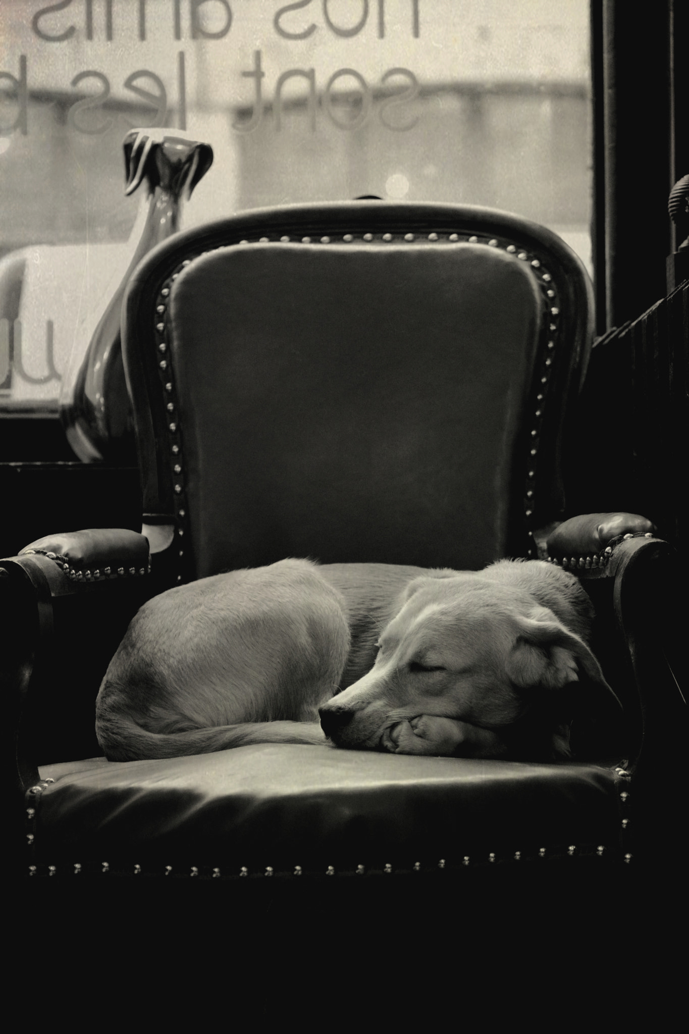 Nikon AF-S Micro-Nikkor 60mm F2.8G ED sample photo. King of sleep photography