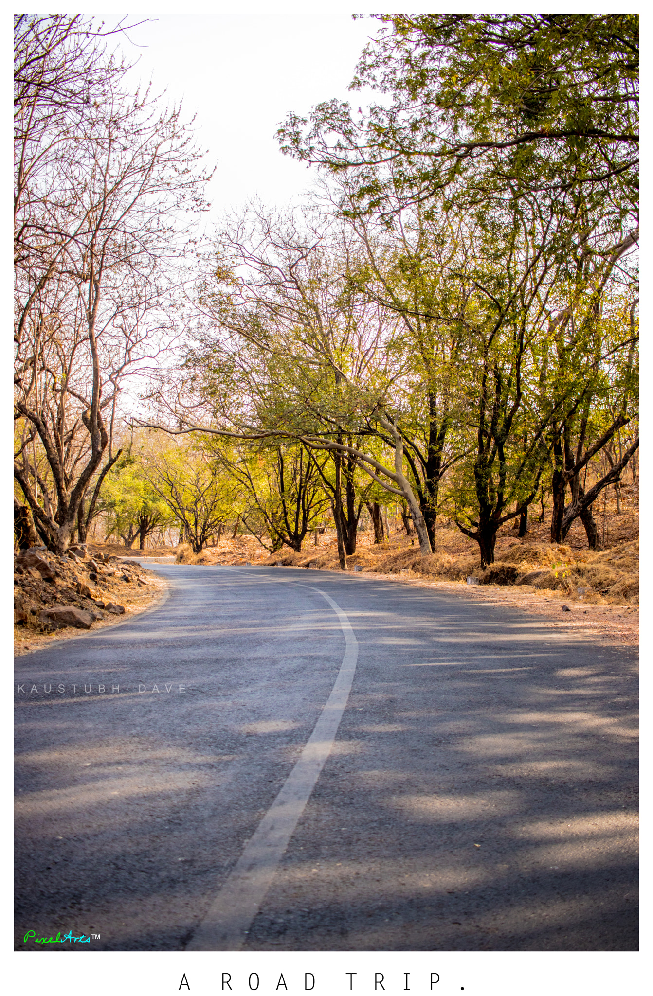 Canon EF-S 24mm F2.8 STM sample photo. A road trip photography
