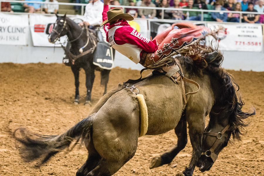 Canon EOS-1D X Mark II sample photo. Prca rodeo photography