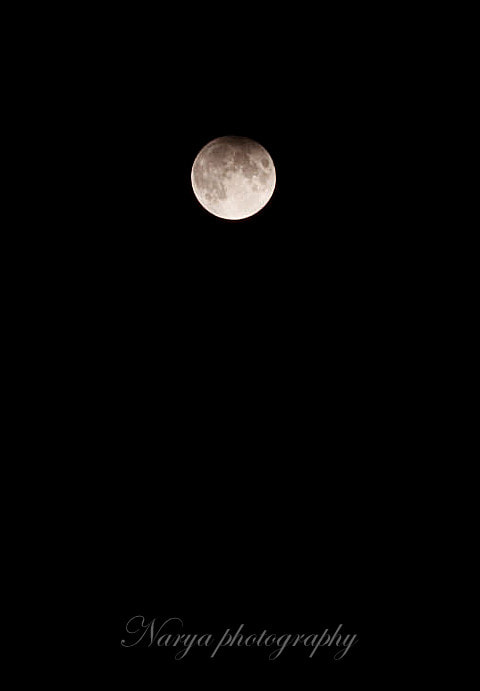 Canon EOS 1000D (EOS Digital Rebel XS / EOS Kiss F) + Canon EF 50mm F1.8 II sample photo. Partial lunar eclipse from slovakia 2017 photography