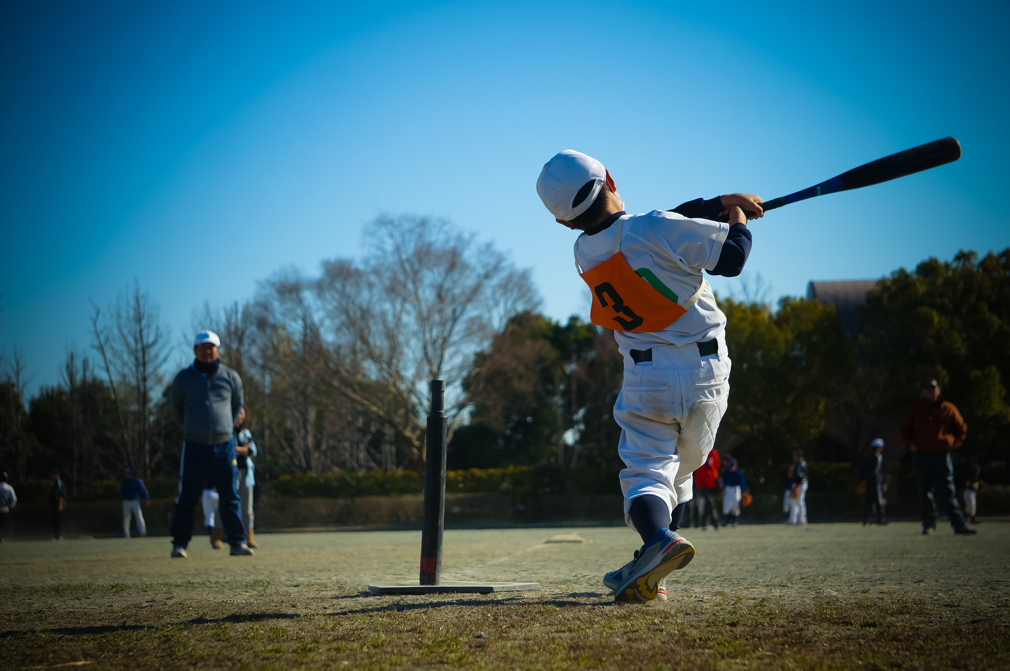 Sony Alpha NEX-6 + Sony E 55-210mm F4.5-6.3 OSS sample photo. Homerun photography